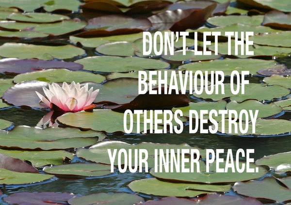 pembe nilüfer ve zambak yastıkları bir göl kenarında bir arka plan üzerinde ilham alıntı