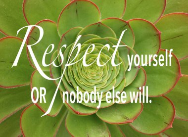 Kivi Aeonium, yeşil ve kırmızı etli bitki ile ilham verici