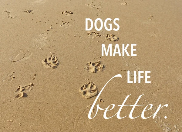 Pata Cão Imprime Areia Praia Com Citação Sobre Cães Vida — Fotografia de Stock