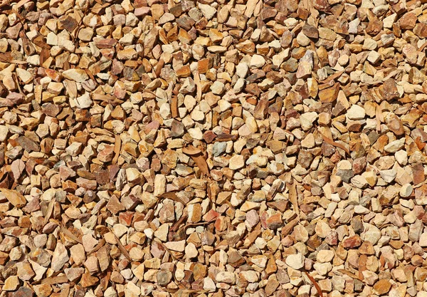 Stones Dried Leaves Texture Background — Stock Photo, Image