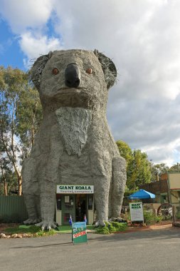 Dadswells Köprüsü, Avustralya - 10 Nisan 2016: Dev Koala (1989) 14 metre yüksekliğinde ve 12 ton ağırlığında. Bronz yapılır ve çelik çerçeve üzerinde oturur