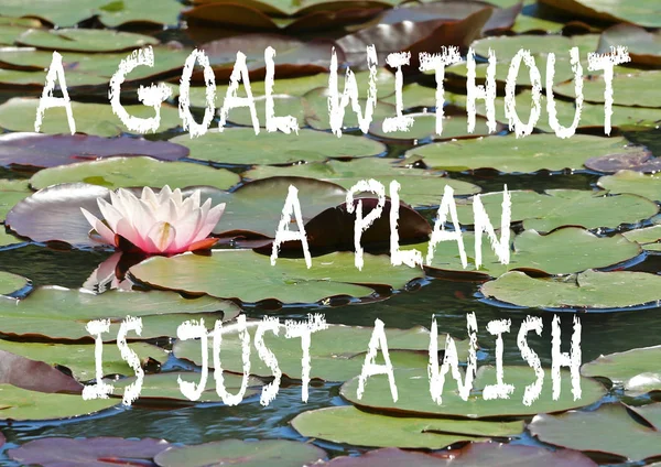 positive quote on a background of pink water lily and lily pads on a lake