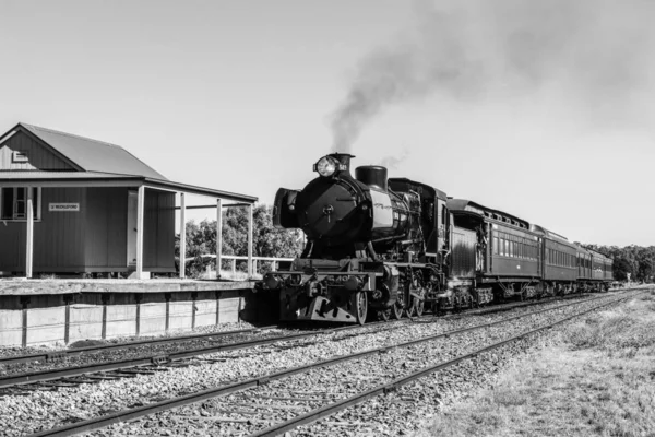 Un tren de vapor con vagones de pasajeros de estilo antiguo llega a la estación de tren de Muckleford en blanco y negro —  Fotos de Stock