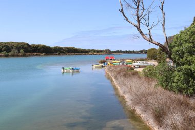 bir nehir kenarında kano ve nehir tekne kiralama