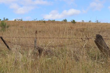 yıpranmış, kırık ve eğimli tel çit ve ahşap direkleri