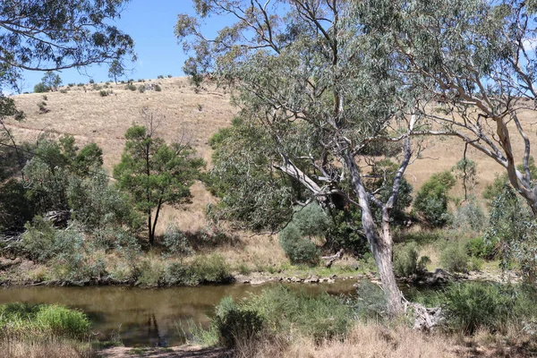 Campaspe River Ländlichen Australien Einem Sonnigen Tag — Stockfoto