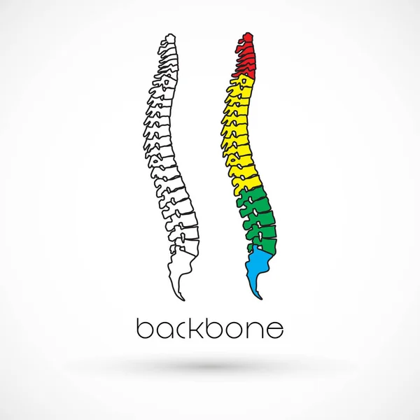 脊椎健康ロゴ クリニック医学カイロプラクティック バックボーン図 — ストックベクタ
