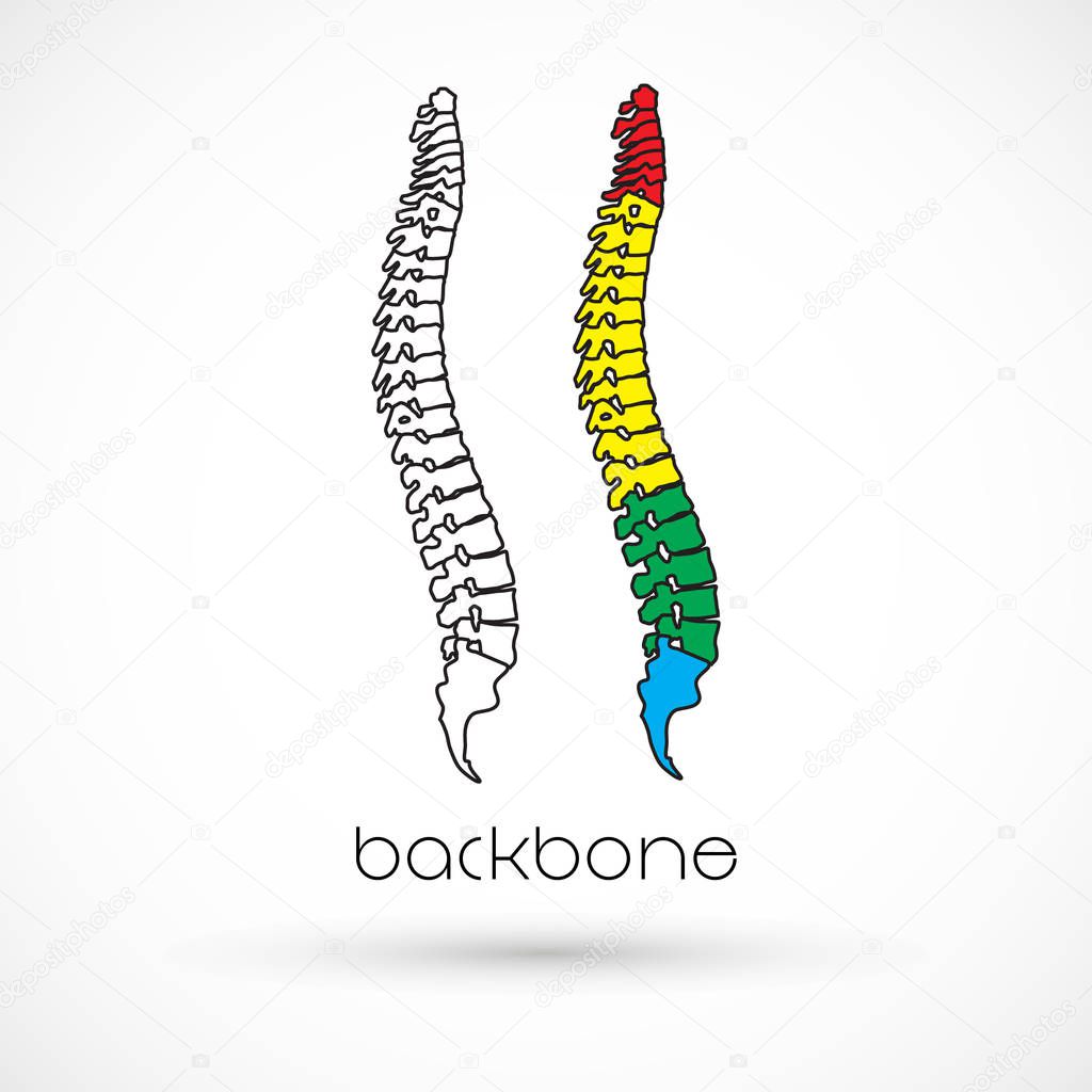 Spine health logo clinic medicine chiropractic backbone illustration