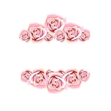 Gül çiçek çerçeve