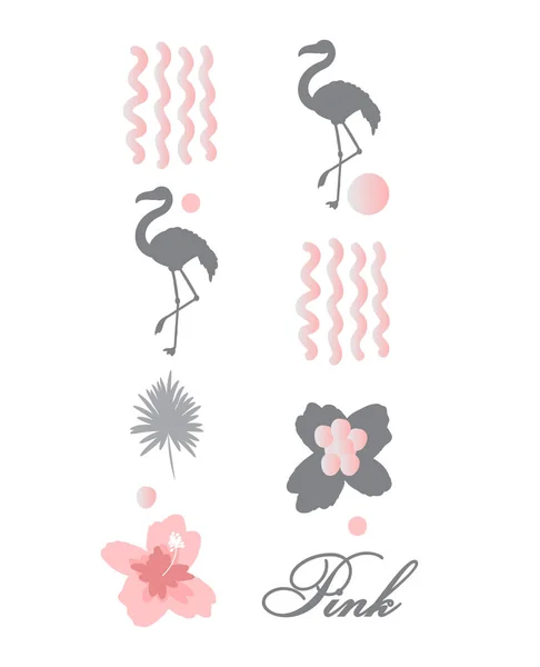 Zbiór Tropikalnych Ptaków Flamingo Ilustracje Ptaków Egzotycznych Róża Drzewo Dżungla — Wektor stockowy