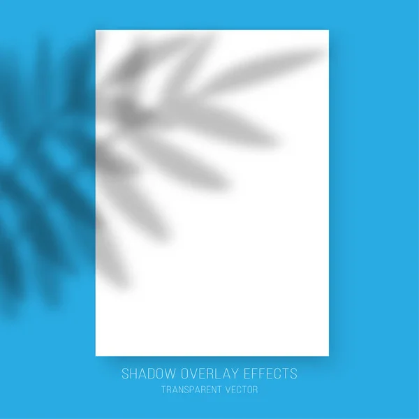 Shadow Overlay Hatások Átlátszó Pálma Levelek Visszaverődés Vektor Poszter Mockup — Stock Vector