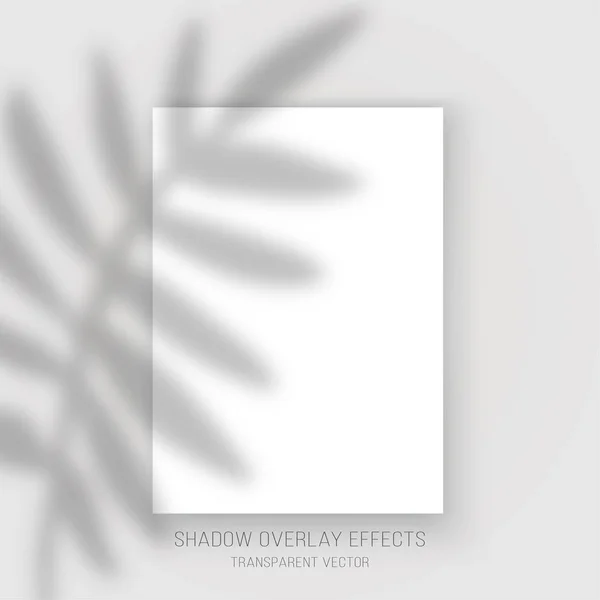 Schatten Overlay Effekte Transparent Palmblätter Reflexionsvektor Poster Attrappe Bilderrahmen — Stockvektor