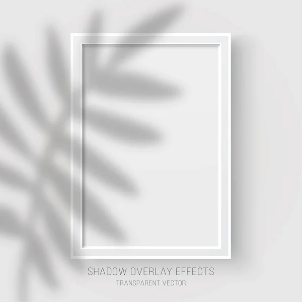 Schaduw Overlay Effecten Transparant Palm Bladeren Reflectie Vector Poster Mockup — Stockvector