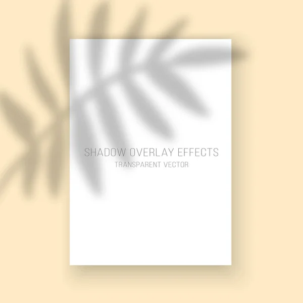 阴影覆盖效果透明棕榈叶反射矢量海报模型画框 — 图库矢量图片