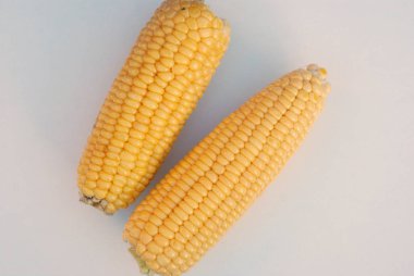 Beyaz arkaplanda mısır