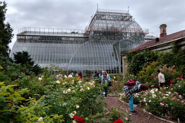 Russia Saint Petersburg July 2020 Peter Great Botanical Garden — Stock Photo, Image