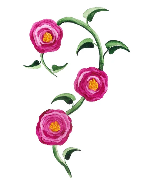 Акварельне Зображення Декоративного Елемента Трояндами Листям Білому Тлі — стокове фото