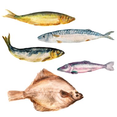 Set of watercolor images of different fish on white background. Cod, herring, flounder, smelt. clipart
