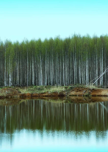 Frühlingslandschaft Mit Seeufer Reflexion Der Birken Wasser Des Sees — Stockfoto