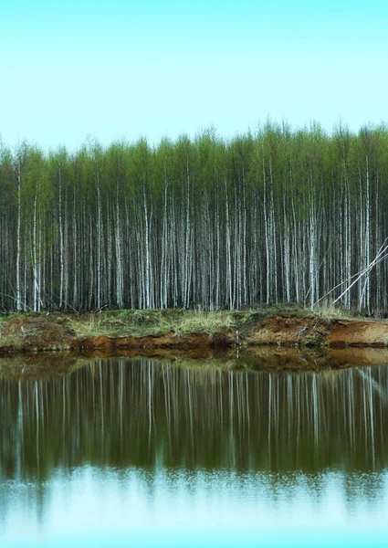 Paysage Printanier Avec Côte Lac Reflet Des Bouleaux Sur Eau — Photo