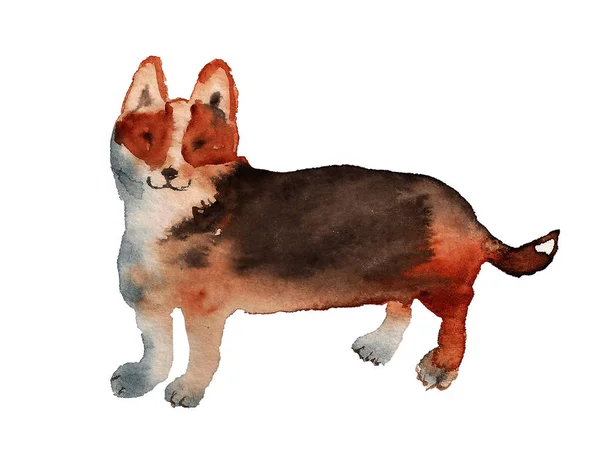 白い背景の上に犬の水彩画のイメージ — ストック写真