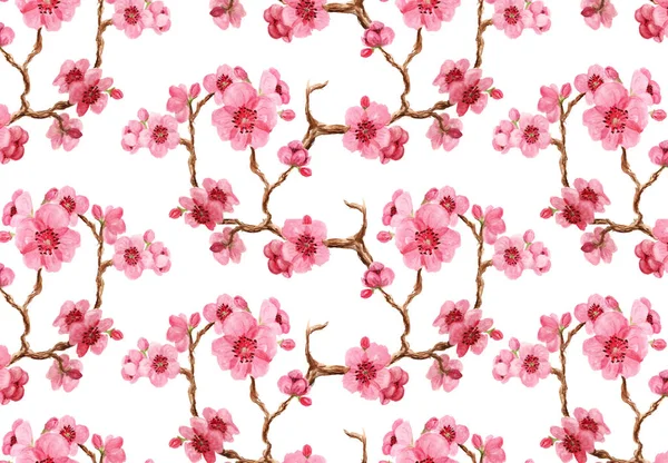 Seamles 图案与日本樱花在白色背景粉红色的花朵 东方风格纺织品 墙纸或包装纸的良好设计 — 图库照片