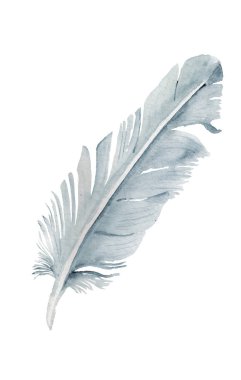 Beyaz arka plan üzerine açık mavi tüy ile sulu boya imafe