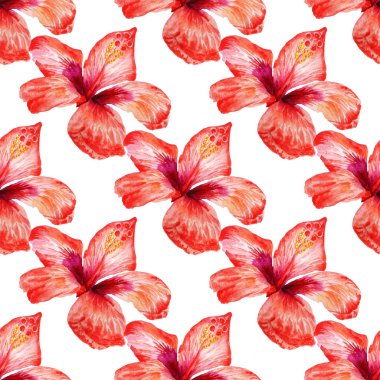 Ebegümeci, kırmızı çiçek suluboya resim ile Seamless modeli. Ambalaj Kağıt, tekstil, zemin vb için iyi tasarım