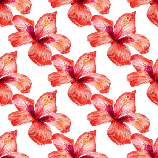 Nahtloses Muster Mit Aquarellbild Der Roten Hibiskusblüte Gutes Design Für — Stockfoto