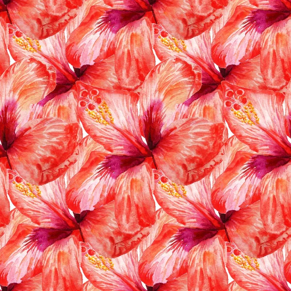 ハイビスカスの赤い花の水彩画のイメージとのシームレスなパターン 包装紙 背景等の優れたデザイン — ストック写真