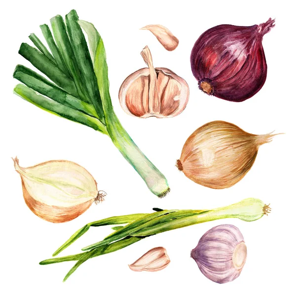 Set of onions and garlic — Stock Photo, Image