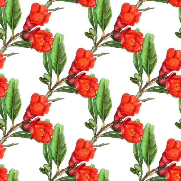 Nahtloses Muster mit Blüten aus Granatapfel — Stockfoto