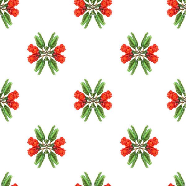 Seamless pattern with flowers of pomegranate