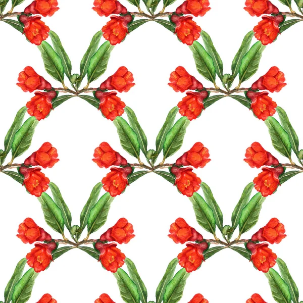 Nahtloses Muster mit Blüten aus Granatapfel — Stockfoto