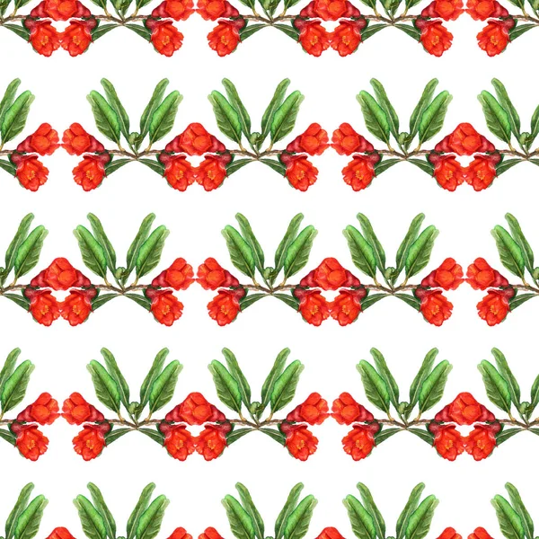 Seamless pattern with flowers of pomegranate — Stock Photo, Image