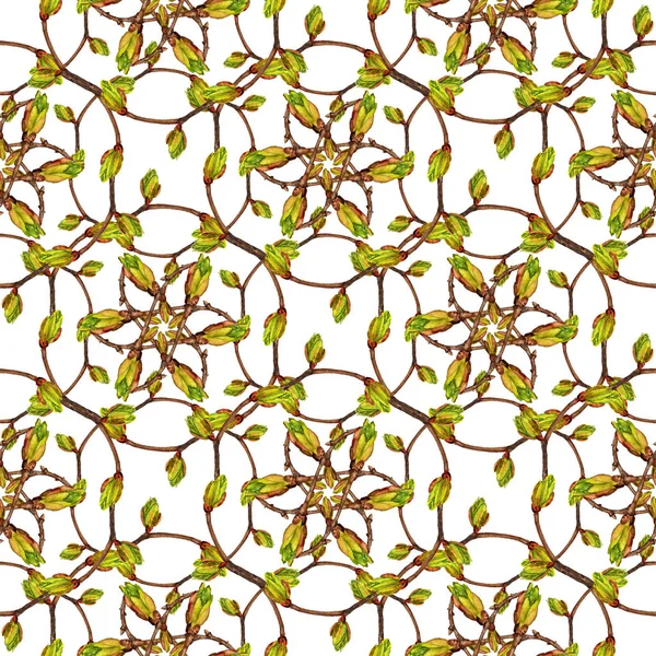 Seamless pattern with twigs and buds — Stock Photo, Image