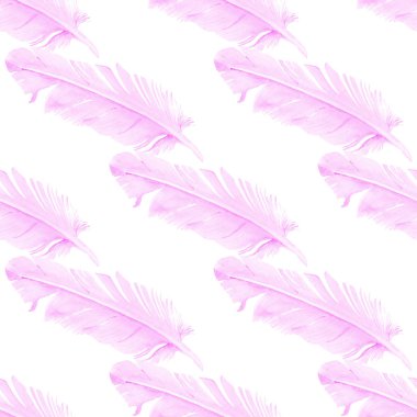 Güvercin tüyü ile Seamless modeli