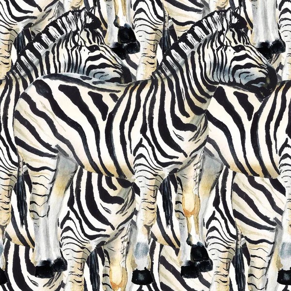 Seamless mönster med zebra — Stockfoto