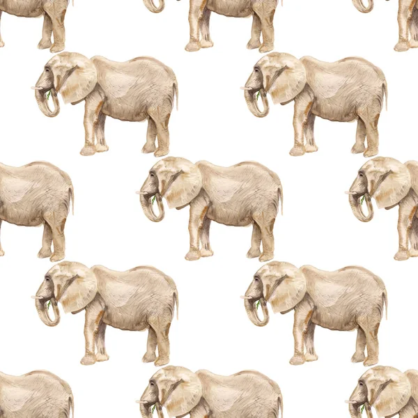 Naadloos patroon met olifant — Gratis stockfoto