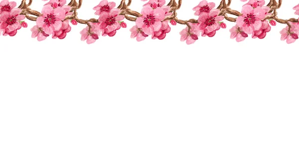 Vízszintes Varrat Nélküli Mintát Sakura Blossom Akvarell Képe Tervezés Határon — Stock Fotó