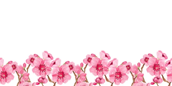 Seamless pattern with sakura — Stock Photo, Image