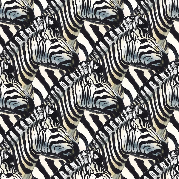 Zebra csorda — Stock Fotó