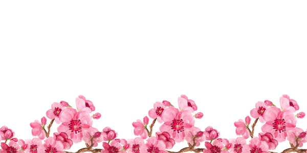 Seamless pattern with sakura — Stock Photo, Image