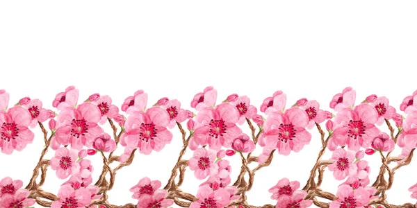 Nahtloses Muster mit Sakura — Stockfoto