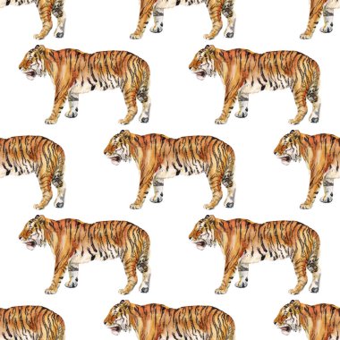 Kaplan ile Seamless Modeli