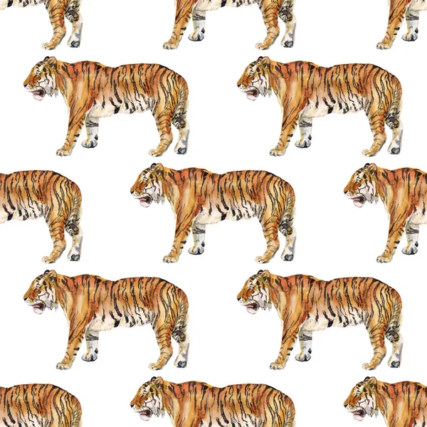 Seamless mönster med tiger — Gratis stockfoto