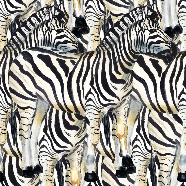 Varrat nélküli mintát a zebra — Stock Fotó