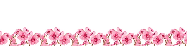 Χωρίς ραφή πρότυπο με sakura — Φωτογραφία Αρχείου