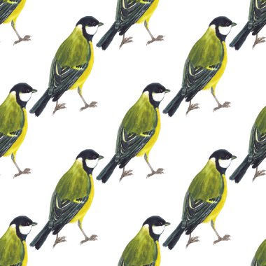 Tomtits ile Seamless Modeli