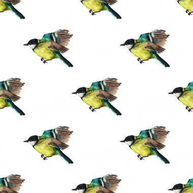 Tomtits ile Seamless Modeli